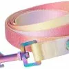 Frisco Pink Ombre Style Dog Leash -Dog Cat Corner 324523 MAIN. SY630 V1642519775