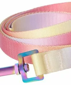 Frisco Pink Ombre Style Dog Leash