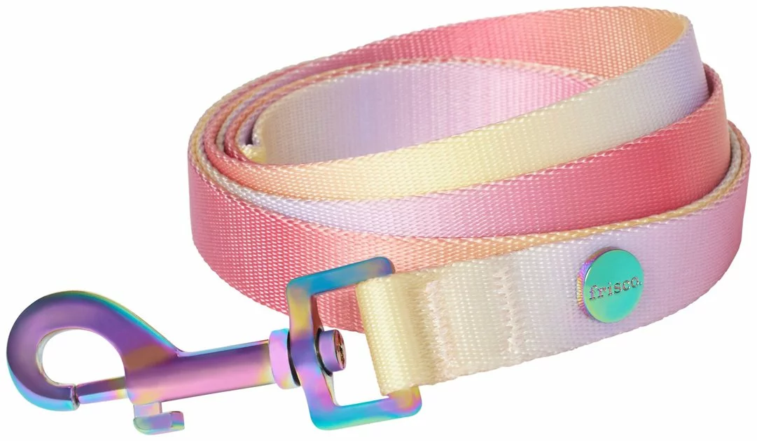 Frisco Pink Ombre Style Dog Leash 3 Frisco Pink Ombre Style Dog Leash