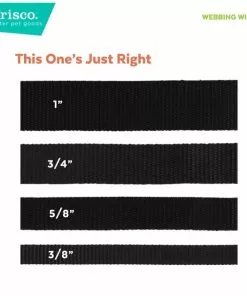 Frisco Pink Ombre Style Dog Leash 10 Frisco Pink Ombre Style Dog Leash -Dog Cat Corner 324523 PT3. SY630 V1642518221