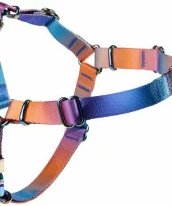 Frisco Purple Ombre Style Dog Harness