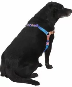 Frisco Purple Ombre Style Dog Harness -Dog Cat Corner 324526 PT3. SY630 V1642519104