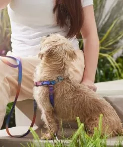 Frisco Purple Ombre Style Dog Harness -Dog Cat Corner 324526 PT4. SY630 V1642518470