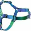 Frisco Green Ombre Style Dog Harness