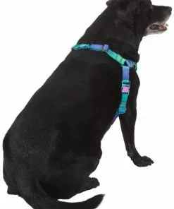Frisco Green Ombre Style Dog Harness 10 Frisco Green Ombre Style Dog Harness -Dog Cat Corner 324531 PT3. SY630 V1642518631