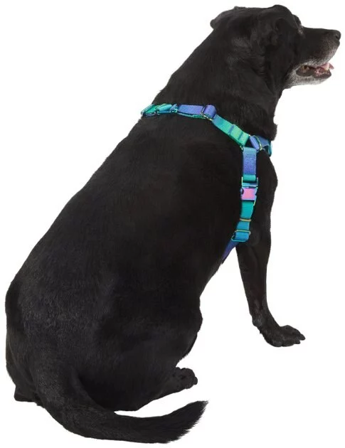 Frisco Green Ombre Style Dog Harness 6 Frisco Green Ombre Style Dog Harness - Image 4