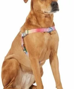 Frisco Pink Ombre Style Dog Harness -Dog Cat Corner 324536 PT2. SY630 V1642518223