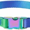 Frisco Green Ombre Style Dog Collar -Dog Cat Corner 324546 MAIN. SY630 V1642519605