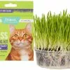 Frisco Natural Cat Grass Growing Kit 1 Frisco Natural Cat Grass Growing Kit -Dog Cat Corner 325885 MAIN. SY630 V1641330988