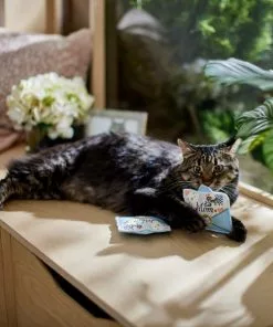 Frisco Mother's Day Card Felt Cat Toy with Catnip, 2 count -Dog Cat Corner 327025 PT3. SY630 V1646948030