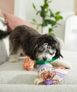 Frisco Mother's Day Rose & Heart Plush Squeaky Dog Toy, 2 count 7 Frisco Mother's Day Rose & Heart Plush Squeaky Dog Toy, 2 count -Dog Cat Corner 327033 PT3. SY630 V1646947953