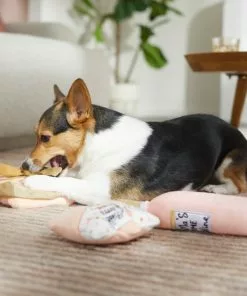 Frisco Mother's Day Gifts Plush Squeaky Dog Toy, 3 count -Dog Cat Corner 327035 PT3. SY630 V1646947993