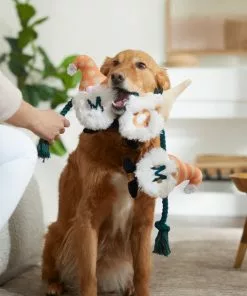 Frisco Mother's Day Gnomes Plush with Rope Squeaky Dog Toy -Dog Cat Corner 327037 PT3. SY630 V1646948102