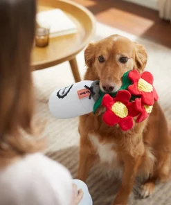 Frisco Mother's Day Mason Jar Flower Blooms Plush Squeaky Dog Toy 7 Frisco Mother's Day Mason Jar Flower Blooms Plush Squeaky Dog Toy -Dog Cat Corner 327039 PT3. SY630 V1646947919