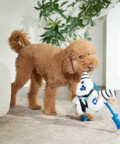 Frisco Dad Gnome Plush with Rope Dog Toy -Dog Cat Corner 327053 PT3. SY630 V1648667286