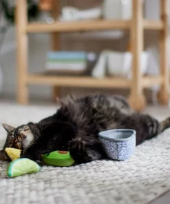 Frisco Guacamole Bowl Cat Toy with Catnip, Medium, 4 count -Dog Cat Corner 327059 PT3. SY630 V1645205519