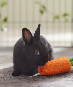 Frisco Small Pet Carrot Loofah Chew Toy -Dog Cat Corner 330873 PT2. SY630 V1647530171