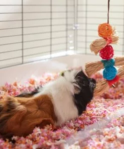 Frisco Small Pet Hanging Ball & Grass Chew Toy -Dog Cat Corner 330879 PT3. SY630 V1647530212