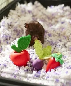 Frisco Small Pet Wooden Fruit Assortment Chew Toy 7 Frisco Small Pet Wooden Fruit Assortment Chew Toy -Dog Cat Corner 330883 PT2. SY630 V1647530150