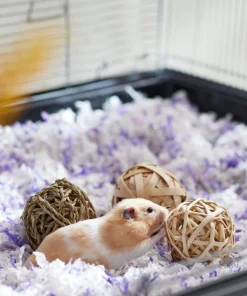 Frisco Trio Balls Small Pet Chew Toys 7 Frisco Trio Balls Small Pet Chew Toys -Dog Cat Corner 330885 PT2. SY630 V1647530230