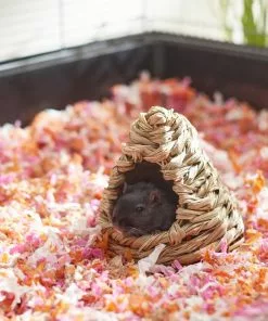 Frisco Tent Small Pet Hideout