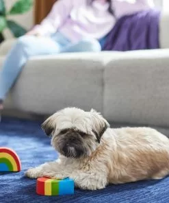 Frisco Pride Rainbow & Heart Latex Squeaky Dog Toy, 2 count -Dog Cat Corner 331632 PT3. SY630 V1647355825