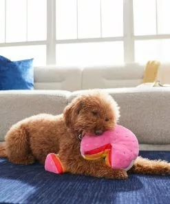 Frisco Pride Cake Plush Squeaky Dog Toy, 2 count 7 Frisco Pride Cake Plush Squeaky Dog Toy, 2 count -Dog Cat Corner 331636 PT3. SY630 V1647355871