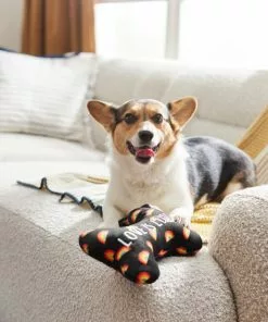 Frisco Pride Proud Pup Bone Plush Squeaky Dog Toy -Dog Cat Corner 331638 PT3. SY630 V1647355940