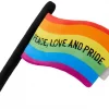 Frisco Pride Flag Flat Squeaky Dog Toy -Dog Cat Corner 331640 MAIN. SY630 V1649086310