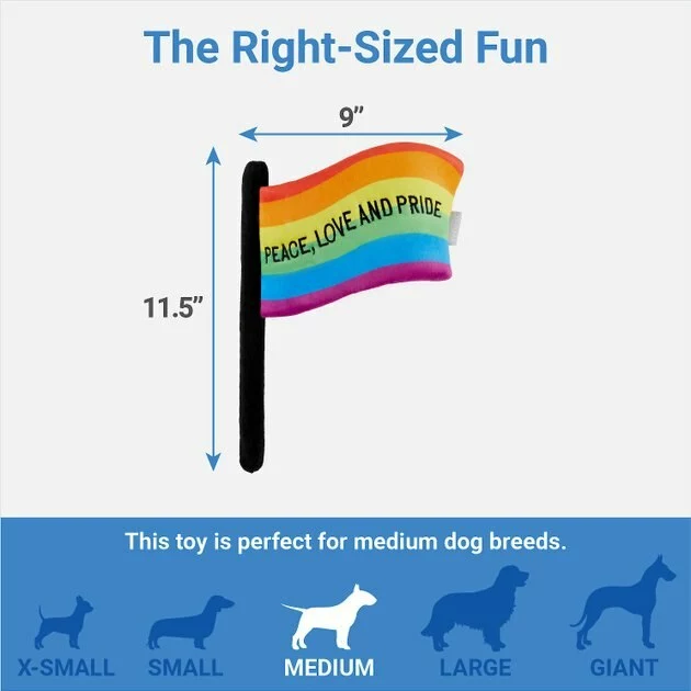 Frisco Pride Flag Flat Squeaky Dog Toy 4 Frisco Pride Flag Flat Squeaky Dog Toy - Image 2