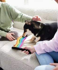 Frisco Pride Flag Flat Squeaky Dog Toy 7 Frisco Pride Flag Flat Squeaky Dog Toy -Dog Cat Corner 331640 PT3. SY630 V1647355852