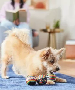 Frisco Pride Squeaking Tennis Ball Dog Toy, 3 count -Dog Cat Corner 331644 PT3. SY630 V1647355895