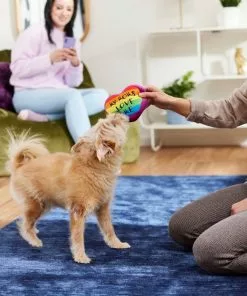 Frisco Pride My Moms Love Me Plush Squeaky Dog Toy -Dog Cat Corner 331646 PT3. SY630 V1647355958