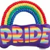 Frisco Pride Rainbow Plush with Rope Squeaky Dog Toy -Dog Cat Corner 331653 MAIN. SY630 V1649086609