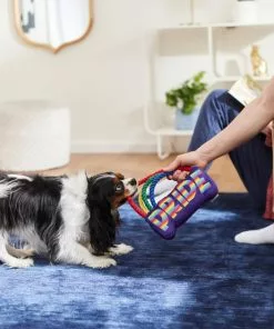 Frisco Pride Rainbow Plush with Rope Squeaky Dog Toy -Dog Cat Corner 331653 PT3. SY630 V1647356026