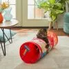 Frisco Pride Tie Dye Foldable Play Tunnel Cat Toy with Catnip -Dog Cat Corner 331680 MAIN. SY630 V1647356050