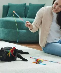 Frisco Pride Teaser Wand Cat Toy with Catnip, 2 count -Dog Cat Corner 331682 PT3. SY630 V1647355648