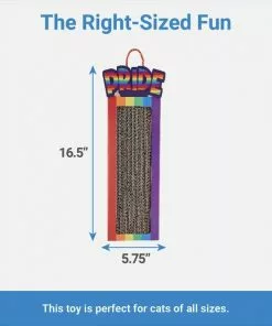 Frisco Pride Rainbow Hanging Cat Scratcher Toy with Catnip -Dog Cat Corner 331686 PT1. SY630 V1649784995