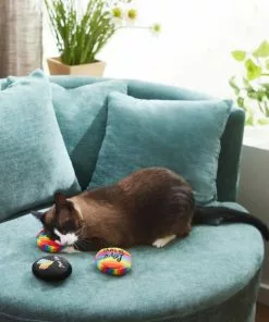 Frisco Pride Buttons Plush Cat Toy with Catnip, 3 count -Dog Cat Corner 331688 PT3. SY630 V1647355746