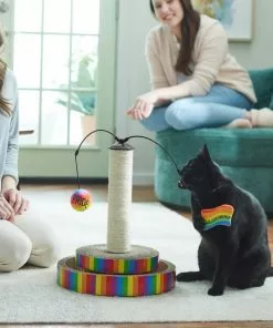 Frisco Pride Interactive Cat Scratcher Toy with Catnip -Dog Cat Corner 331692 PT3. SY630 V1647355666