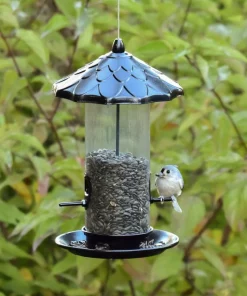 Frisco Acorn Wild Bird Feeder -Dog Cat Corner 333243 PT3. SY630 V1646665026