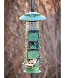 Frisco Squirrel Defense Wild Bird Feeder -Dog Cat Corner 333277 PT4. SY630 V1646664996
