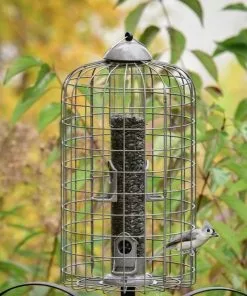 Frisco Ultra Squirrel Defense Wild Bird Feeder -Dog Cat Corner 333281 PT3. SY630 V1646665002