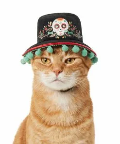 Frisco Day of the Dead Dog & Cat Hat -Dog Cat Corner 334496 PT2. SY630 V1658367627