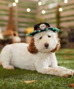 Frisco Day of the Dead Dog & Cat Hat -Dog Cat Corner 334496 PT6. SY630 V1657719482