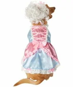 Frisco 18th Century Dog & Cat Dress Costume 11 Frisco 18th Century Dog & Cat Dress Costume -Dog Cat Corner 334767 PT3. SY630 V1658368065