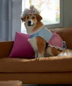 Frisco 18th Century Dog & Cat Dress Costume 14 Frisco 18th Century Dog & Cat Dress Costume -Dog Cat Corner 334767 PT7. SY630 V1657656879