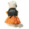 Frisco Boo Dog & Cat Dress -Dog Cat Corner 334825 MAIN. SY630 V1658368910