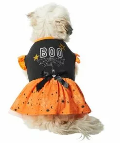 Frisco Boo Dog & Cat Dress
