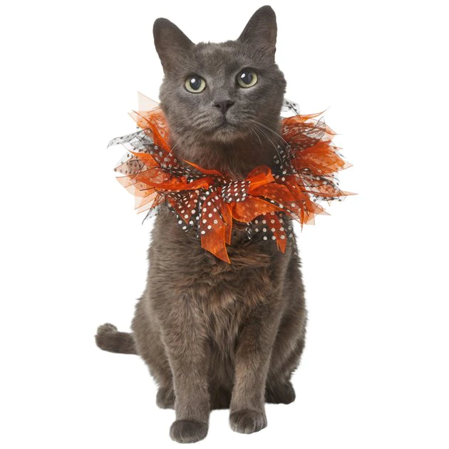 Frisco Cat Collar Ruffle Costume Accessory, One Size 3 Frisco Cat Collar Ruffle Costume Accessory, One Size